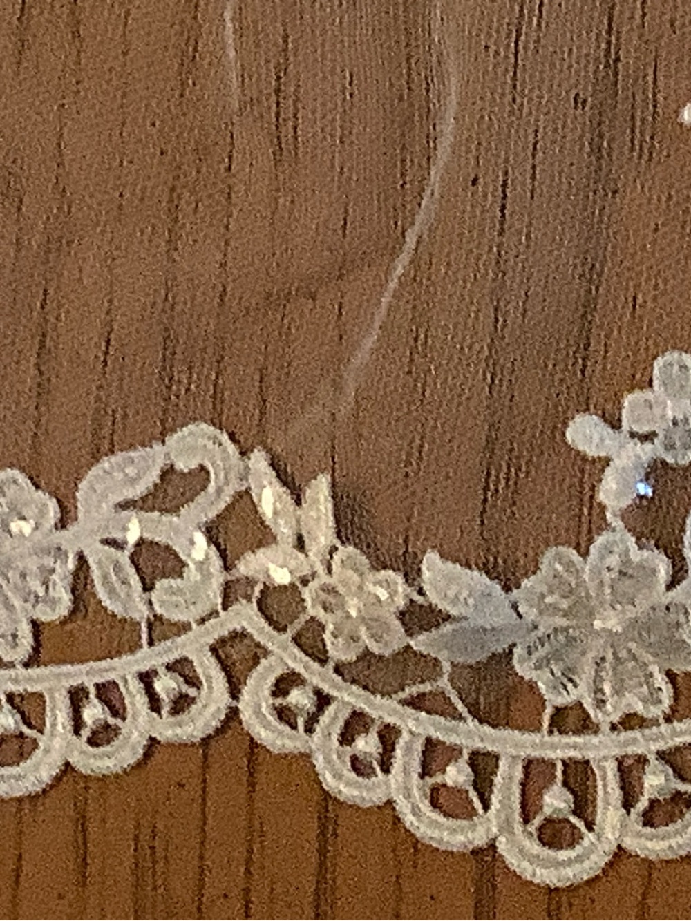 Cathedral Bridal Lace Edge Veil - Ivory - Picture 5 of 7